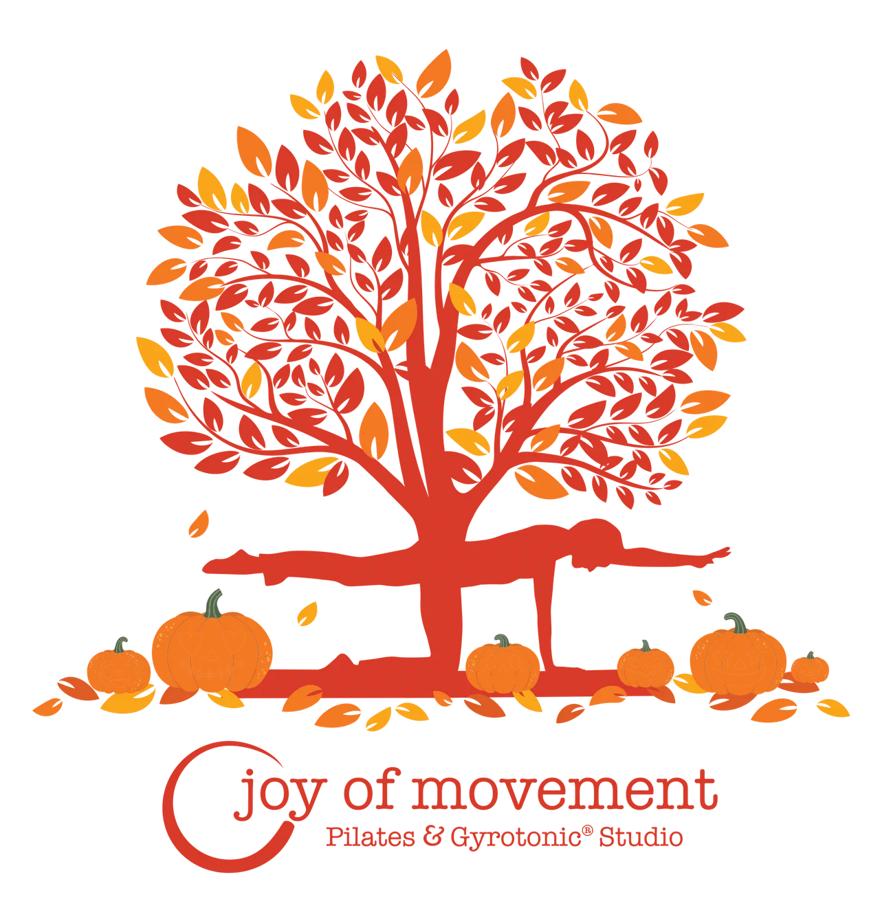 Joy of Movement Gyrotonic and Pilates Studio