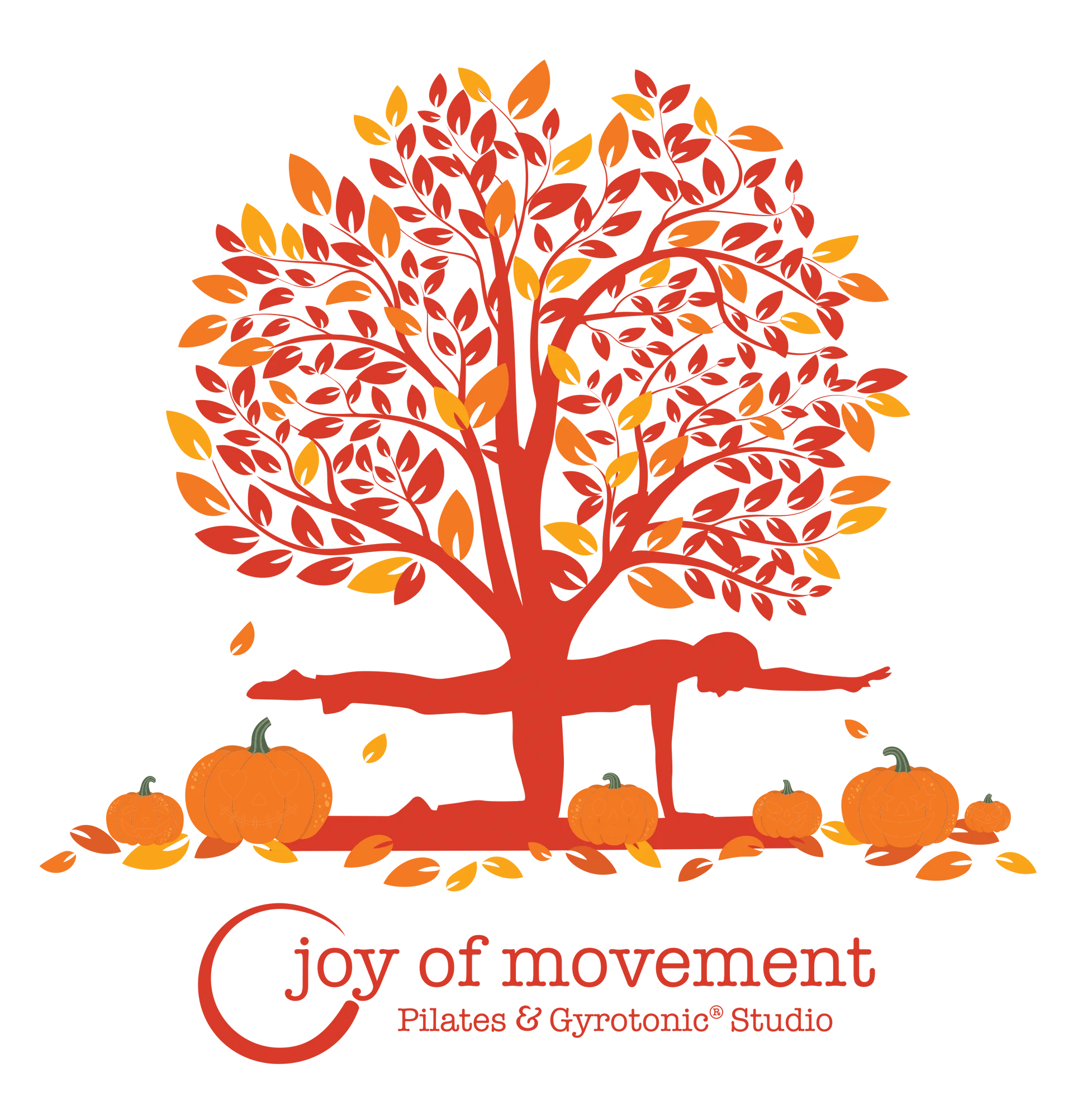 Joy of Movement Gyrotonic and Pilates Studio