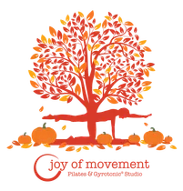 Joy of Movement Gyrotonic and Pilates Studio