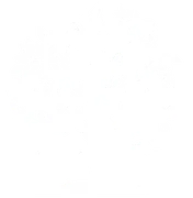White background.