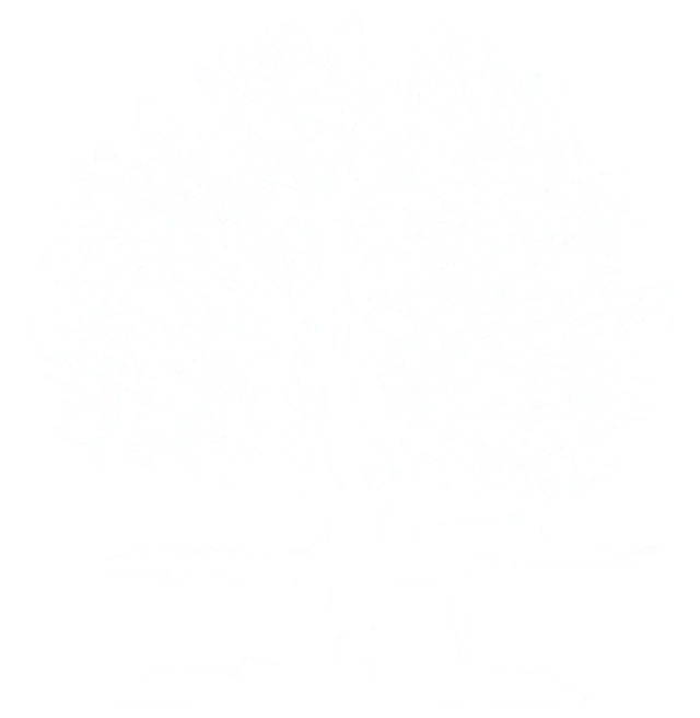 White background.